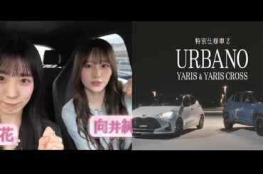 向井純葉 石森璃花 CM トヨタ ヤリス Dance With Yaris パロディ 櫻坂46