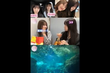 向井純葉 石森璃花 むかいしもりのもぐもぐタイム♩♩櫻坂46