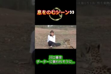 【㊗300万回超え🎉】川口春奈・カメラが捉えた極限のシーン❗