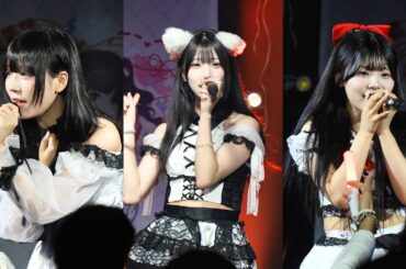 251116 세티라이브홀 - 리스타