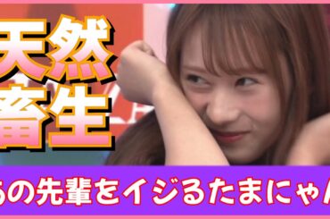 あの気難６大先輩をイジってしまう石塚瑶季ちゃん【日向坂46】