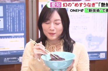 オスと比べて身が厚く…新技術で養殖した“幻のメスうなぎ” 出荷を松井珠理奈さんがPR「おいしすぎる」 (2025/11/18 16:10)