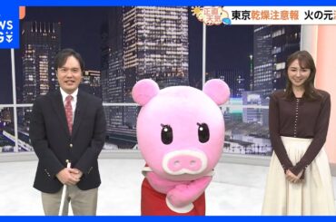 【11月20日 関東の天気】20日は南部ほど雲広がる　連休は紅葉日和へ｜TBS NEWS DIG