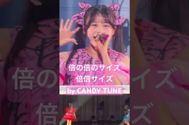 倍倍サイズなきゃんちゅー #きゃんちゅー #倍倍fight #mステ #村川緋杏 #立花琴未 #小川奈々子 #宮野静 #南なつ #福山梨乃 #アイドル #推し活 #candytune #桐原美月