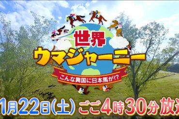 知られざる世界の競馬に出会う旅へ…萩野公介&ハシヤスメ・アツコが潜入取材！【テレ東 11月22日(土)午後4時30分】