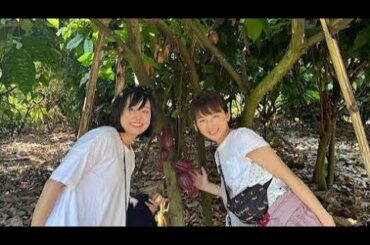 「平井理央、まさかの起業…！“罪悪感ゼロのチョコ”に込めた想いとは🍫✨」