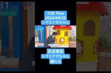 20240925 シマエナガちゃん壊れる　#シマエナガちゃん #シマエナガ