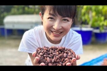 🍫✨💼🌸💖👩‍💼平井理央、チョコレートブランド起業！甘さと健康を両立する新たな挑戦