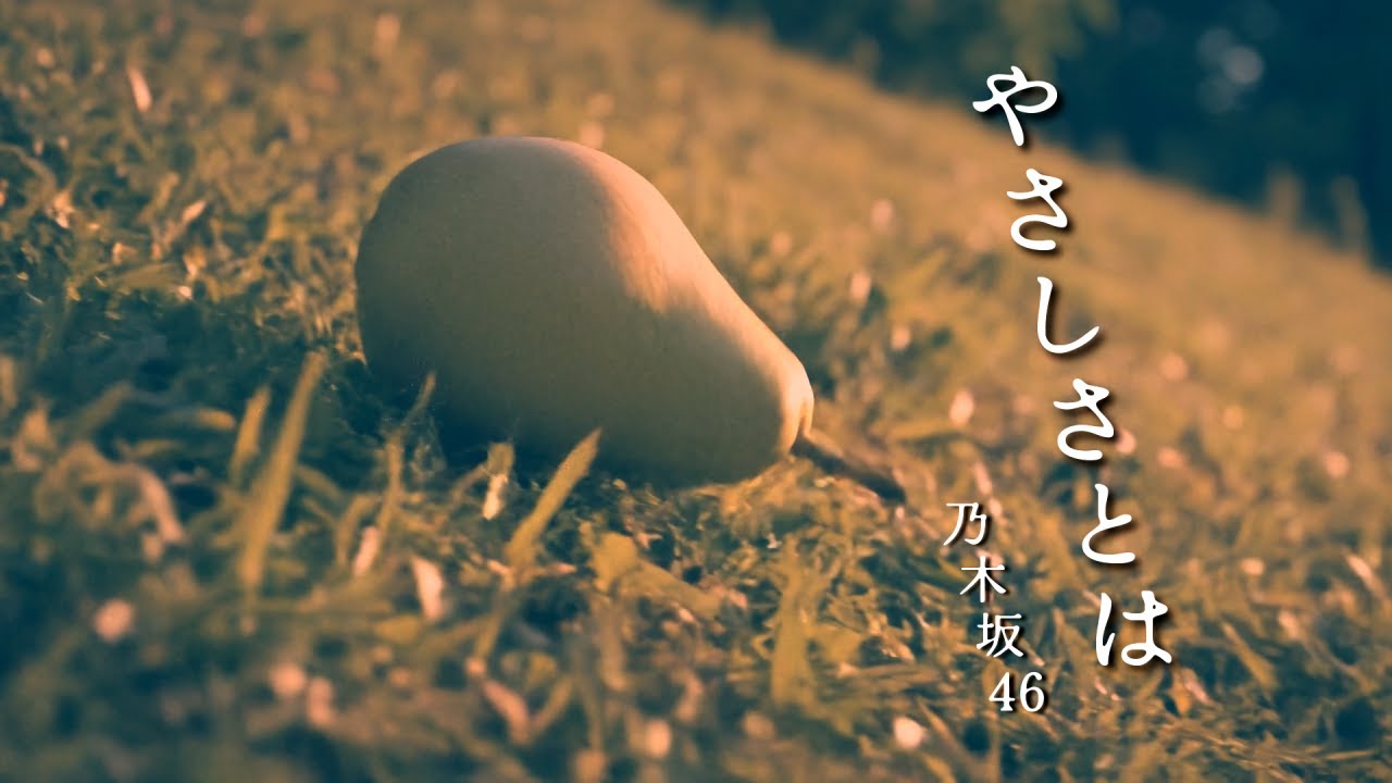 やさしさとは/乃木坂46 やさしさとは/乃木坂46