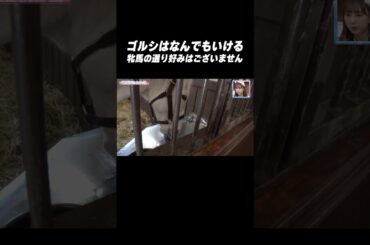 #ゴールドシップ は種付け上手😏 牝馬の選り好みはございません（笑）#shorts