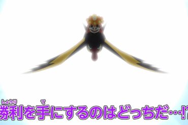 ポケットモンスター「ふんばれアチゲータ、明日のために」予告