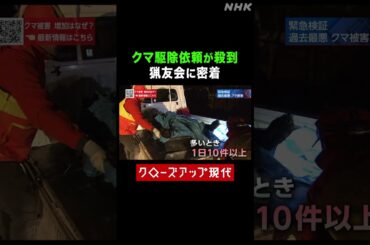 クマ駆除依頼が殺到…猟友会の限界とは【クロ現】| NHK | #shorts