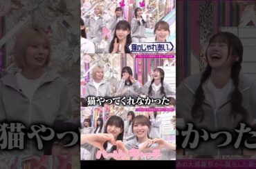 藤吉夏鈴 村山美羽 向井純葉 いとみうに裏切られたかりんちゃん♩村井優 守屋麗奈 櫻坂46