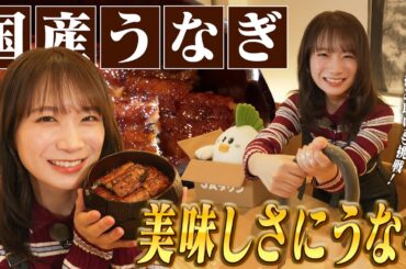 秋元真夏が国産うなぎの蒲焼専門店で極上のうな重を堪能しました！