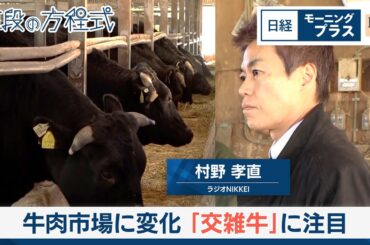 牛肉市場に変化　「交雑牛」に注目【日経モープラFT】