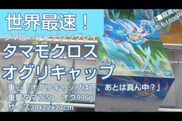 11/27　ウマ娘　シンデレラグレイ　タマモクロス　オグリキャップ　世界最速！　本日新登場！　ベネクス川越　クレーンゲーム　完全クレゲ宣言！　チャンネル登録募集中！　プライズ　フィギュア　買取　秋葉原