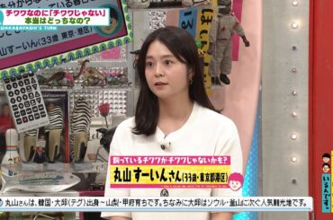 飼っているチワワがチワワだと信じてもらえない！？(オードリーさん、ぜひ会ってほしい人がいるんです。)