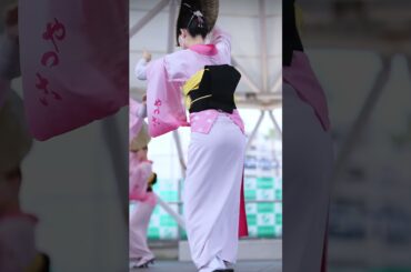 【阿波踊り2025】徳島市阿波おどり2025　アミコドーム阿波おどりフェスタ　やっこ連