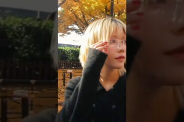 外苑イチョウ並木🍂🪵🍁