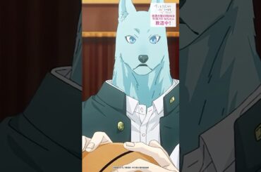 獣人の繋(CV #江口拓也)、人間の万理(CV #石見舞菜香)と雪紘(CV #西山宏太朗)――少しずつ距離を縮める３人🏀【#キミ越え 第4話より】#Shorts