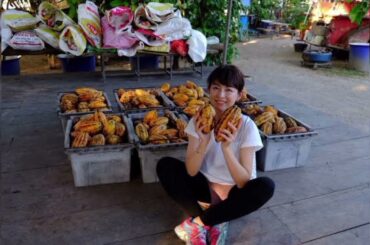 平井理央「タイのランパーンまでカカオ豆を視察」チョコレートで起業し奮闘した1年「低GIで乳酸菌約1000億個のチョコを」