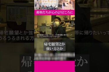 特別養護老人ホーム「加賀屋の森」では高齢者たちが、犬や猫と一緒に暮らしています。動物たちが心のよりどころに…｜#いおりがそばに#ドキュメンタリー #ザ・ドキュメント#shorts
