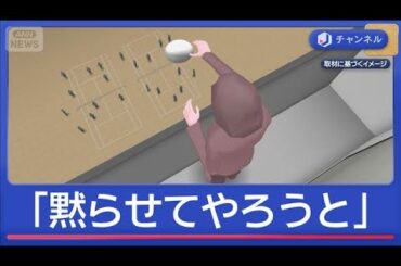 10階から陶器“投げ落とし”少女ら狙った？殺人未遂容疑で女逮捕「黙らせてやろうと」【スーパーJチャンネル】(2025年11月19日)