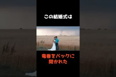 【竜巻バックに開かれた前代未聞の結婚式】 #shorts #事件解説 #仰天ニュース