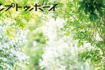 日向坂46正源司陽子『アップトゥボーイ』表紙＆巻頭に登場 – 画像一覧（3/5） – THE FIRST TIMES