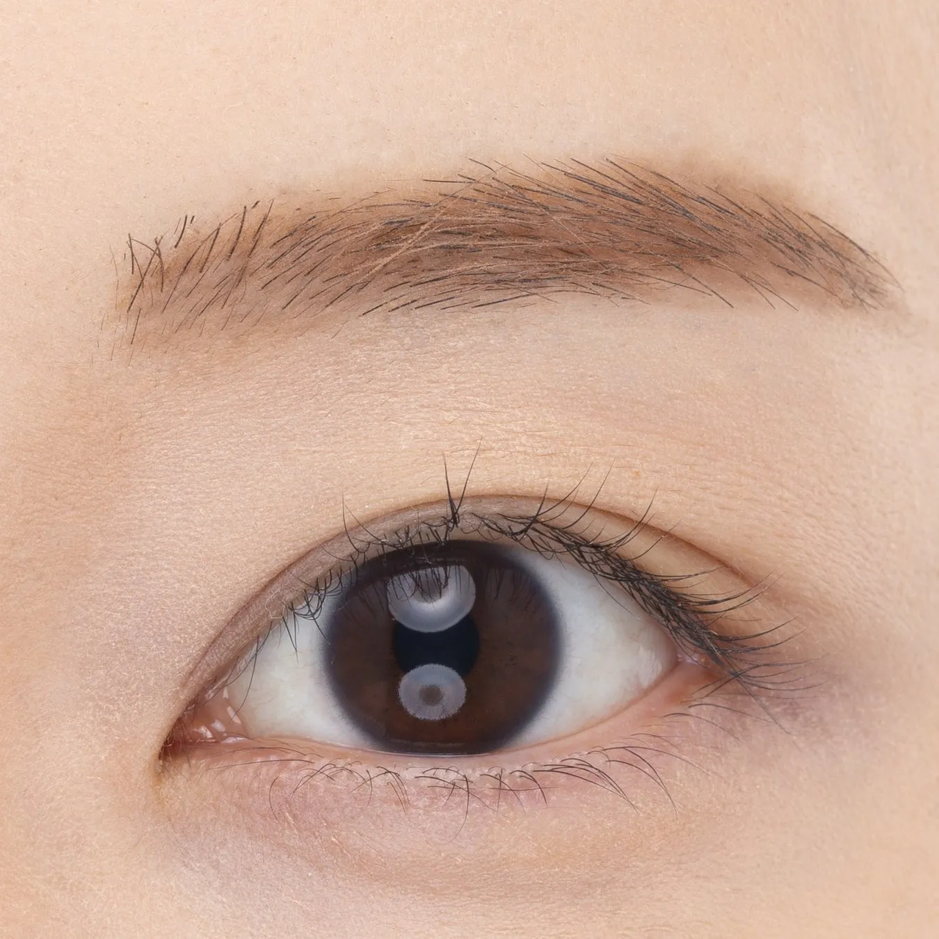 目のクローズアップ。まつげと眉毛がはっきりと見え、瞳は茶色で、光が反射している。