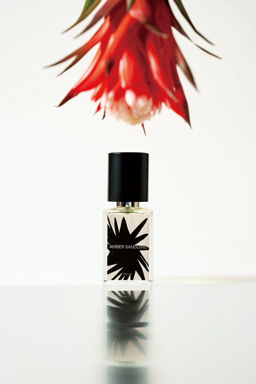 perfume bottle labeled amber sanguine with a floral arrangement above