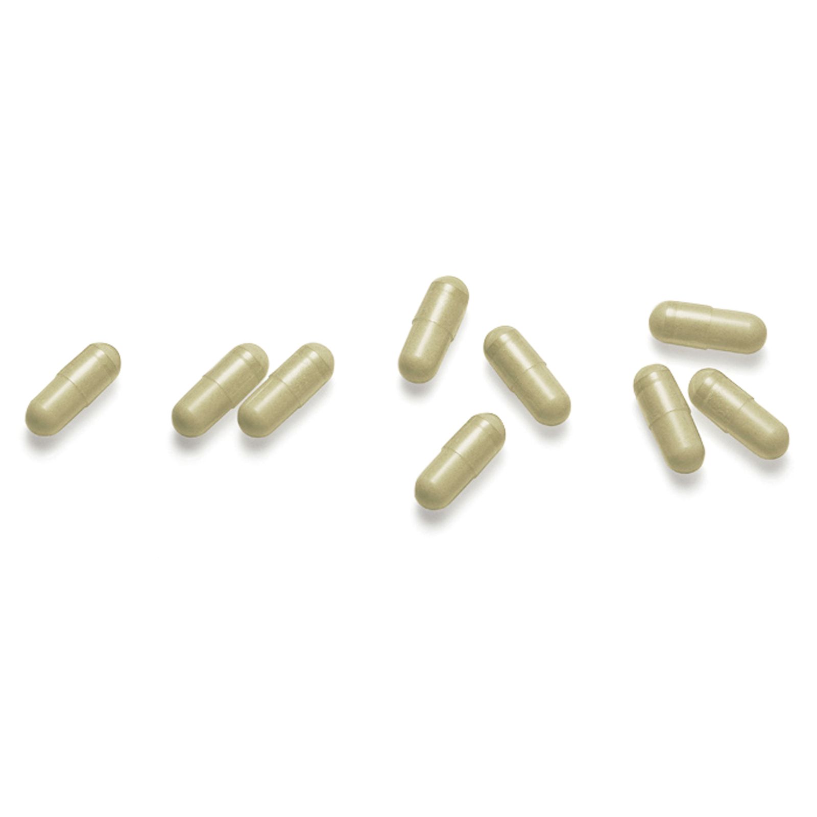 老化細胞を除去！ 不老に着目した製品が大ヒット──メンズビューティー2025年のトレンド10 vol.1