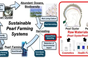 御木本製薬、ゼロエミッション養殖が生んだ多機能原料 「真珠パウダー」 を開発 - 化粧品業界人必読！週刊粧業オンライン