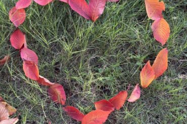 太陽が霞むくらい 五百城茉央 #きっきのにっき