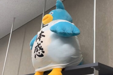 明日も明後日もその次も応援してる