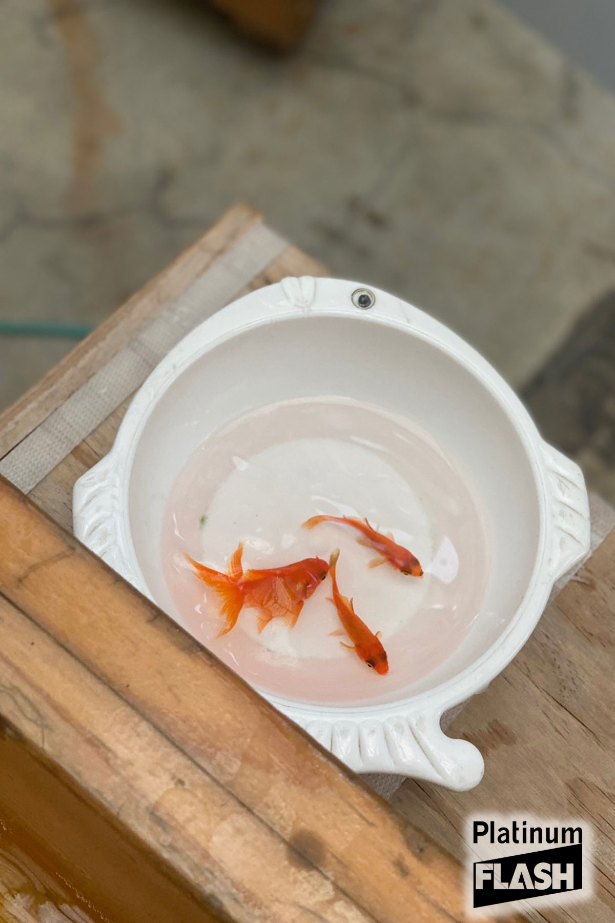 乃木坂46 佐藤璃果【Platinum FLASH Vol.23】