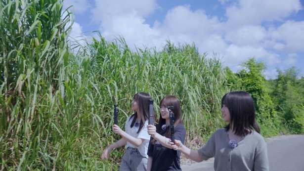 「乃木坂46 6期生稼働中」第8回に登場した海邉朱莉、愛宕心響、増田三莉音(写真左から)