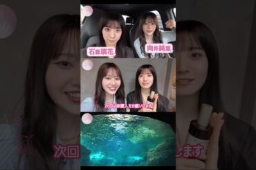 石森璃花 向井純葉 むかいしもり車を買う♩♩櫻坂46