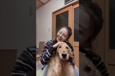 元NGT48 本間日陽 散歩でみんなより遅れて後ろを歩いてると待ってくれるところが好きすぎて滅‼️#ゴールデンレトリバー #ゴールデンレトリバーのいる生活 #おすすめ #fyp