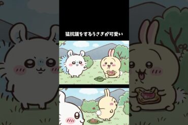 【ちいかわ】うさぎとモモンガの掛け合いが凄い神回　  #ちいかわ  #アニメ  #ちいかわといっしょ #ハチワレ #うさぎ