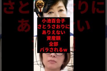 小池百合子さとうさおりにありえない資産額全部バラはれるw