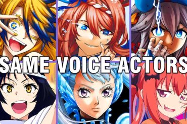 Umamusume Cinderella Gray All Characters Japanese Dub Voice Actors Seiyuu Same Anime Characters