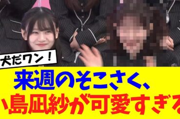 【櫻坂46】来週のそこ曲がったら櫻坂、小島凪紗が可愛すぎると話題に！！！