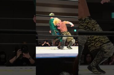 MAOと須見和馬が華麗なタッチワークを見せて須見が美しいスワンダイブ式ミサイルキックを突き刺していく DDT「ハマのリングで愛を叫べ！」2025年11月22日 #ddtpro #須見和馬