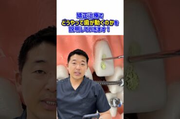 【雑学】矯正治療でどうやって歯が動くのか解説！#shorts
