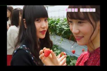 26時のマスカレイド いちご狩りに行ってみた。