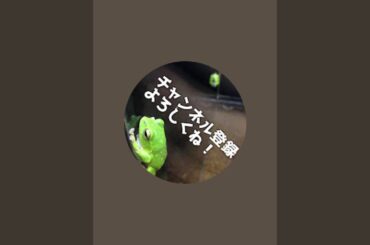 【ピアノライブ演奏】三枝夕夏、北原愛子メドレー