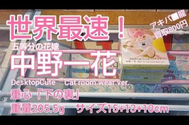 12/6　五等分の花嫁　中野一花　DesktopCute　世界最速！　本日新登場！　ベネクス川越　クレーンゲーム　完全クレゲ宣言！　チャンネル登録募集中！　プライズ　フィギュア　買取　秋葉原