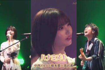 ハナミズキ／中西アルノ×根本要×黒沢薫　Spicy Sessions LIVE