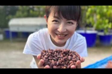 平井理央「タイのランパーンまでカカオ豆を視察」チョコレートで起業し奮闘した1年「低GIで乳酸菌約1000億個のチョコを」